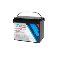 Аккумулятор защищенный Vektor Energy LiFePO4 (12 В/100 А) Smart